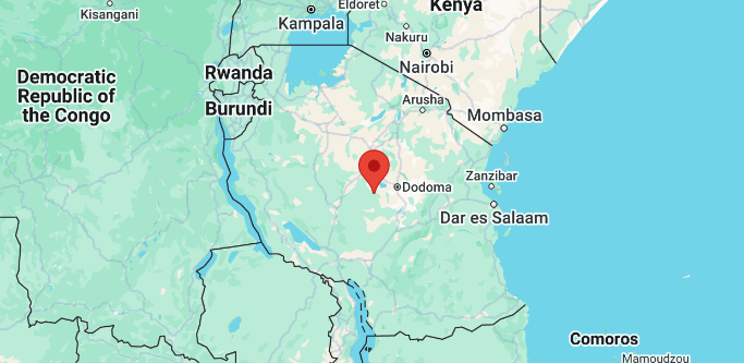 Real Tanzania residential VPN and Tanzania (TZ) proxy static ip address